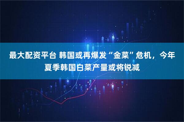 最大配资平台 韩国或再爆发“金菜”危机，今年夏季韩国白菜产量或将锐减