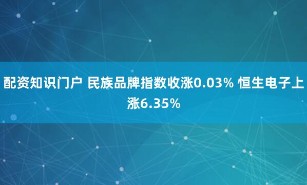 配资知识门户 民族品牌指数收涨0.03% 恒生电子上涨6.35%