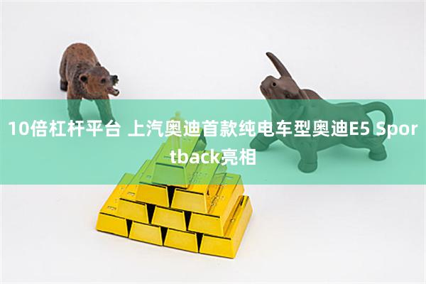 10倍杠杆平台 上汽奥迪首款纯电车型奥迪E5 Sportback亮相