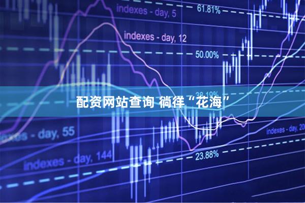 配资网站查询 徜徉“花海”